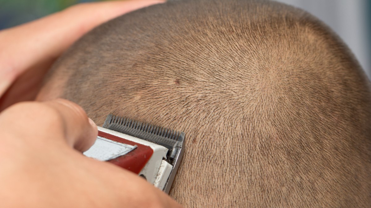 maat Actief krijgen Het kaal geschoren hoofd | Hoe scheer je het hoofd met de tondeuse?